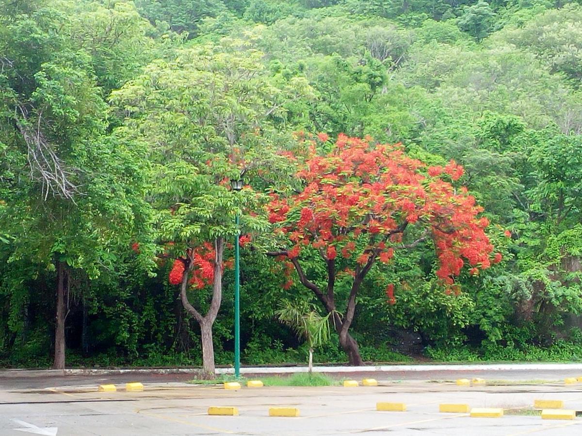 Camino Al Mar Apartman Santa Cruz Huatulco Kültér fotó